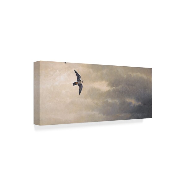 Michael Jackson 'Overcast Seagull' Canvas Art,10x24